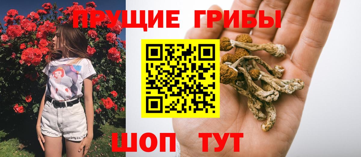 Галлюциногенные грибы мицелий  Галлюциногенные грибы прущие грибы  Вход с VPN  Унеча 